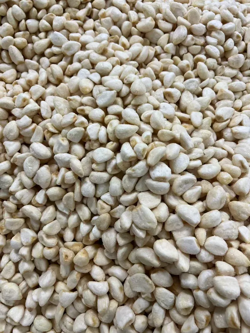 fried garlic exporer in china