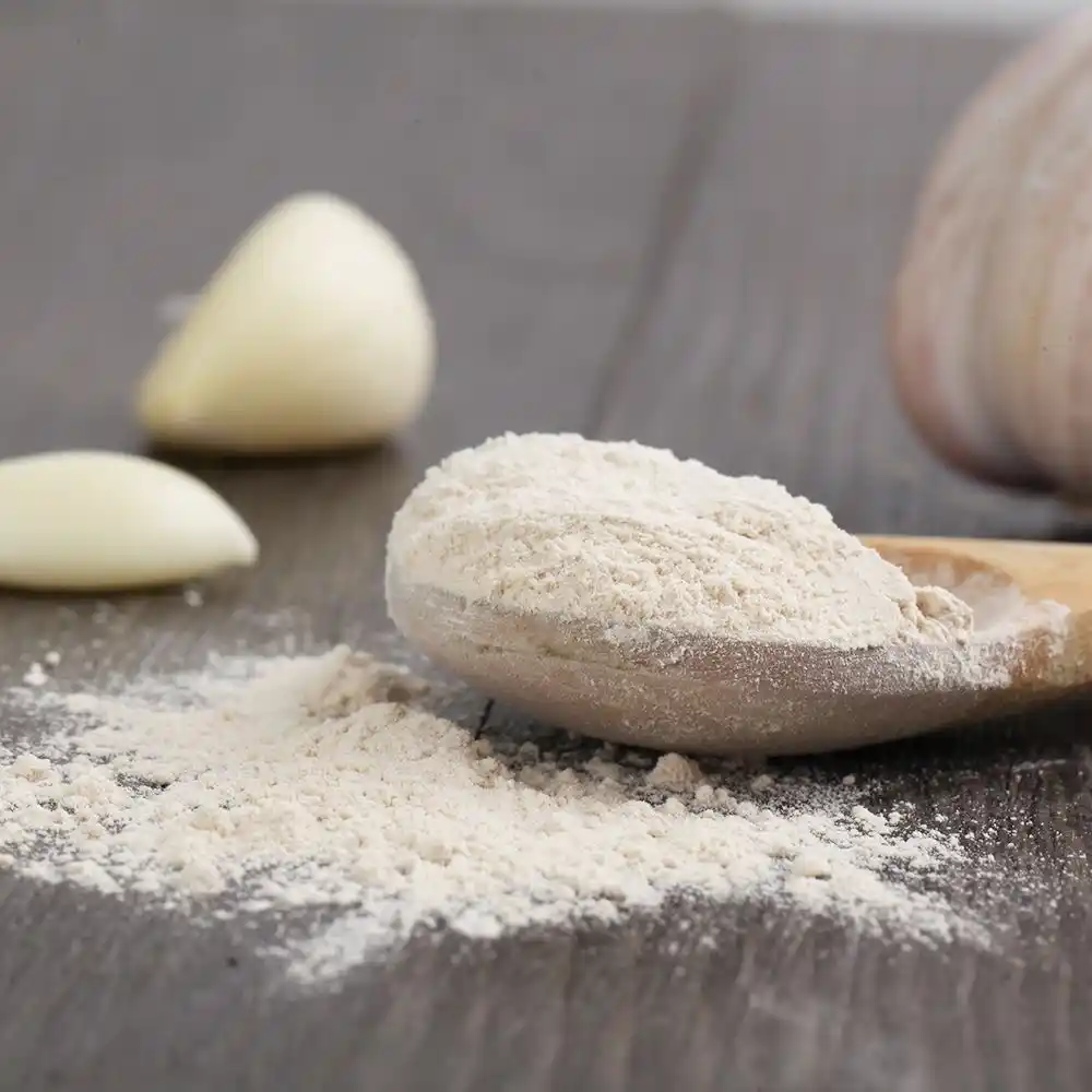 Garlic Powder for Export