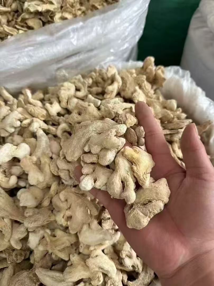 Dry ginger Export