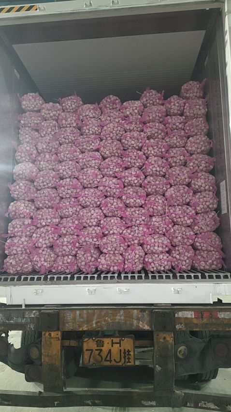 Fresh Garlic from China – Reliable Export Supply for Global Markets