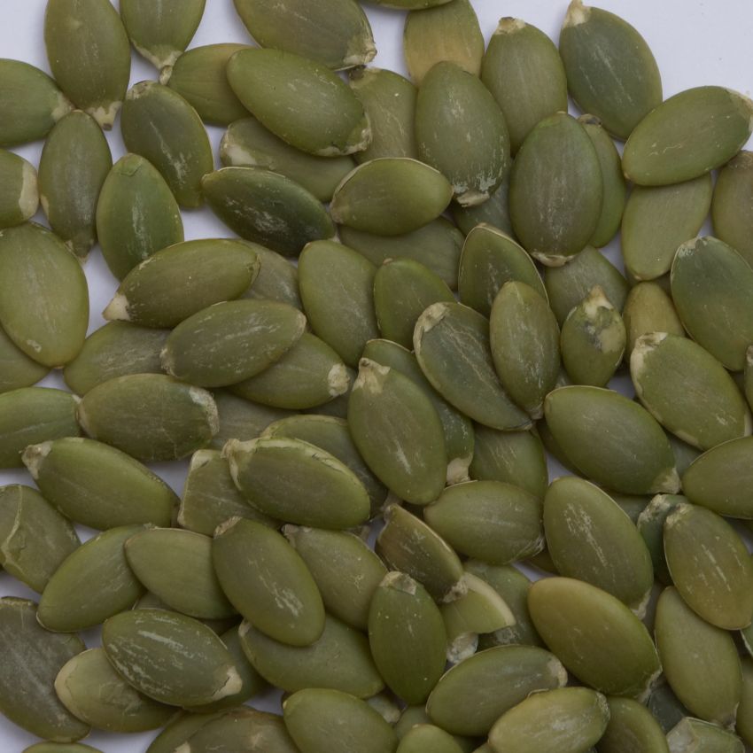 Pumpkin Seeds from China: Reliable Supplier for Global Food Importers